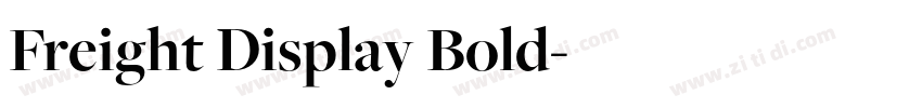 Freight Display Bold字体转换